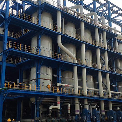 Tiandong Project