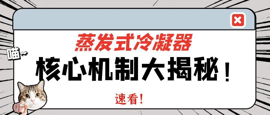 Evaporative Condenser: Decoding the Core Mechanism of Efficient Vacuum Formation